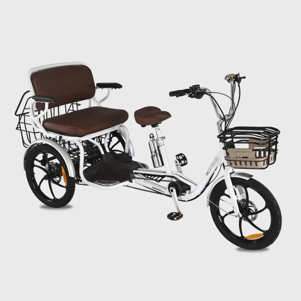 OMSMO passenger Electric TRIKE banner